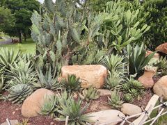 -东莞植物园