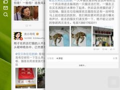 被餐厅老板虐杀致死的猫咪-盛京一禾