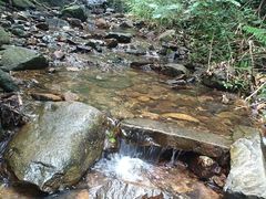 -梧桐山风景名胜区