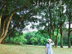 -福建鲤鱼洲酒店