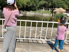 -碓臼峪自然风景区