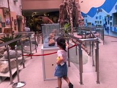 -陕西自然博物馆