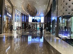 -PRADA普拉达(国金中心店)
