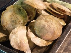 -八一湛江生蚝(文明东路总店)