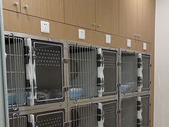 -美迦爱-牙专科·兔科·骨科诊疗中心(北苑店)