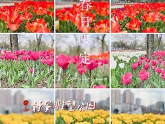 -静安雕塑公园