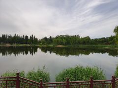 -北坞公园