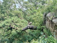 -天津盘山风景名胜区