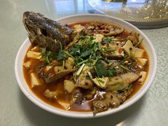 -煲来饱去冷水鱼