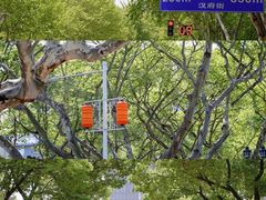 -长江路历史文化街区