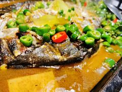 -探鱼·鲜青椒爽麻烤鱼(苏宁广场店)