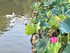 -苏州河梦清园环保主题公园