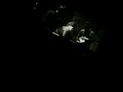 -枫花园汽车电影院(朝阳公园店)