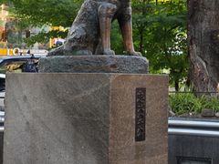 -涩谷全向十字路口