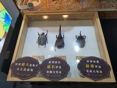 -昆百大泰业城