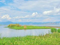 -洱海月湿地公园