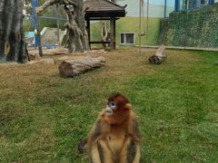 -大连森林动物园