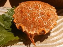 毛蟹壳-然寿司(郎园vintage店)