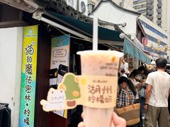 -猫的魔法密林(衣裳街店)
