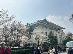 -武汉大学-樱园
