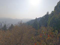 -原山国家森林公园