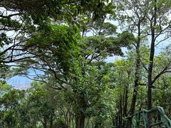 -梧桐山风景名胜区