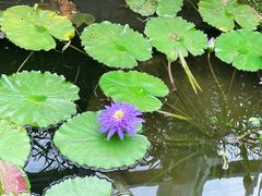 -国家植物园南园