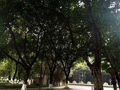 -四川大学(望江校区)