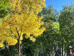 -中央戏剧学院(昌平校区)