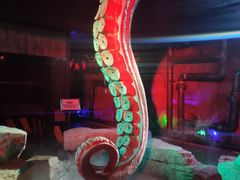 -贝壳梦幻世界