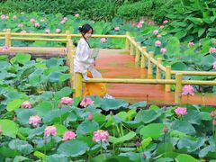 -广州莲花山旅游区