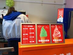 -萨朗刀克冰淇淋雪花凉(植物园店)