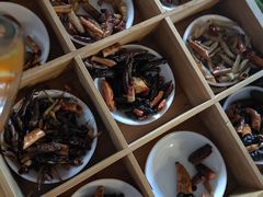 -昆虫窝子·特色云南菜(拓东路总店)