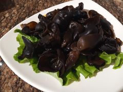 黑木耳-黄记煌三汁焖锅(崇文门店)