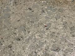 -北海金海湾红树林生态旅游区