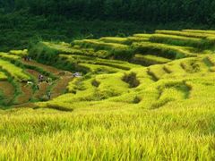 -牛鱼嘴原始生态风景区