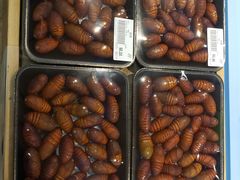 -果蔬好生活超市(双井店)