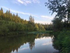 -黄海国家森林公园