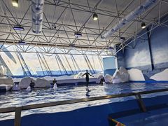 -秦皇岛乐岛海洋王国