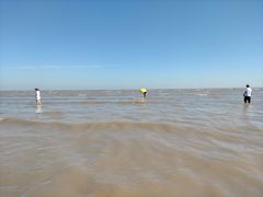 -南汇嘴观海公园