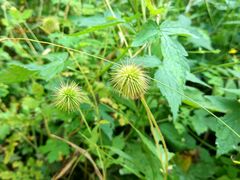 -穆伊林全羊馆(白塔店)