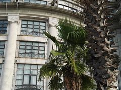 -上海棕榈滩海景酒店