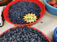 -五里多农博广场