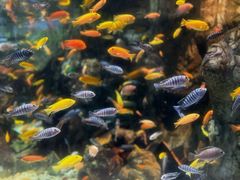 -太平洋海底世界