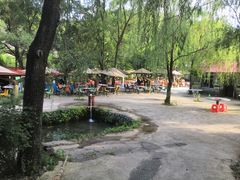 -可心烤鱼