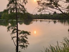 -尚湖风景区