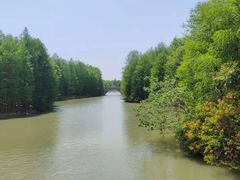 -上海海湾国家森林公园