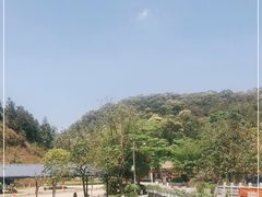 -广州白江湖森林公园