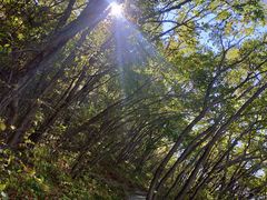 -圣莲山风景区