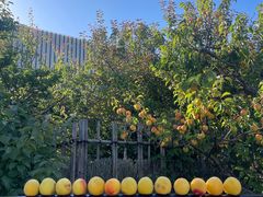 -南紀白浜 浜千鳥の湯 海舟